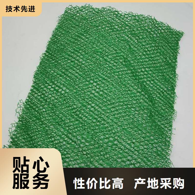 三维土工网垫批发市场