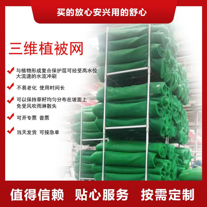 三维植被网-通风降噪丝网专注细节专注品质