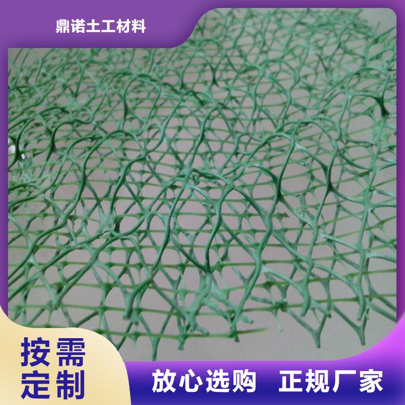 三维植被网-通风降噪丝网专注细节专注品质