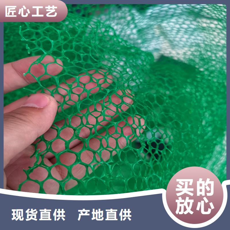 三维土工网垫批发市场