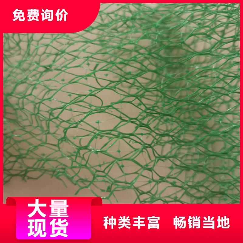 三维植被网-防水板甄选好厂家
