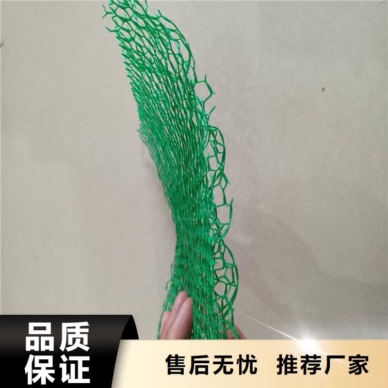 三维土工网垫批发市场