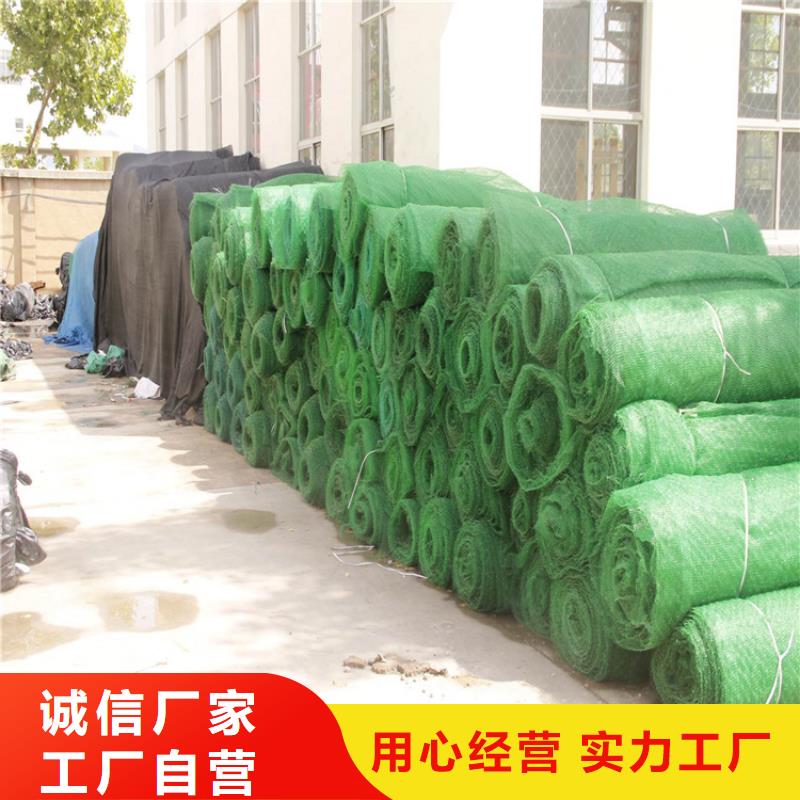 三维植被网-通风降噪丝网专注细节专注品质