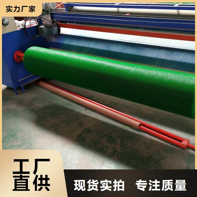 三维植被网-防水板甄选好厂家