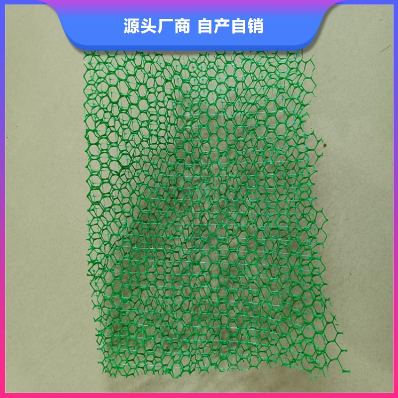 三维植被网-通风降噪丝网专注细节专注品质