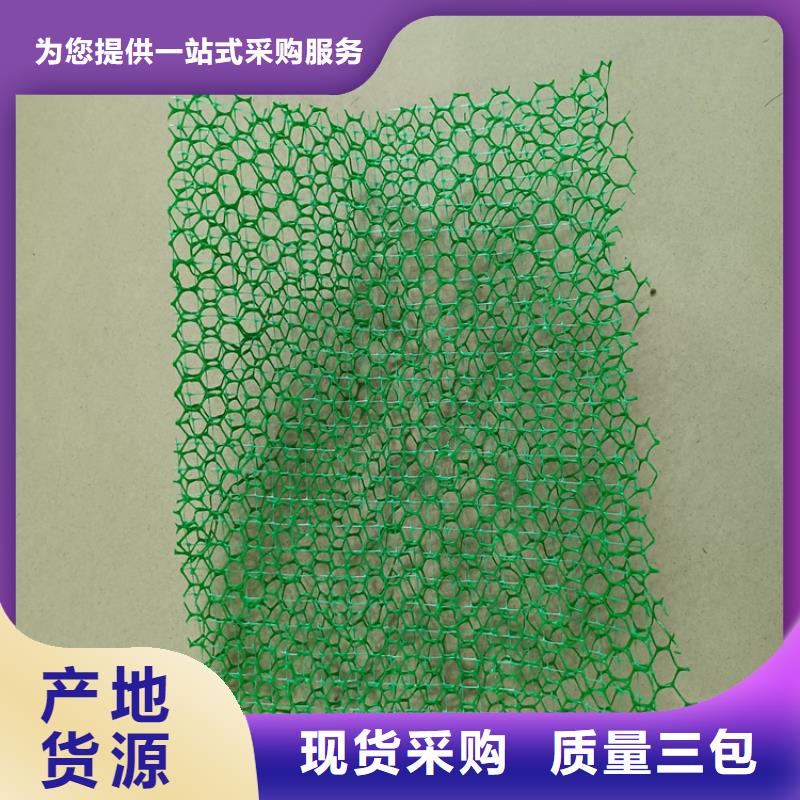 三维土工网垫批发市场