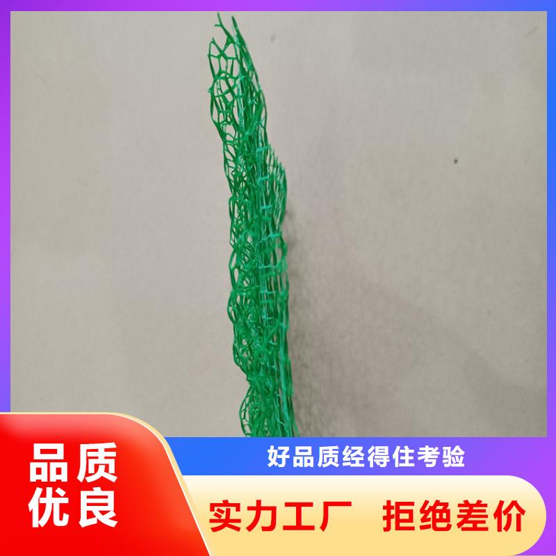 三维植被网-防水板甄选好厂家