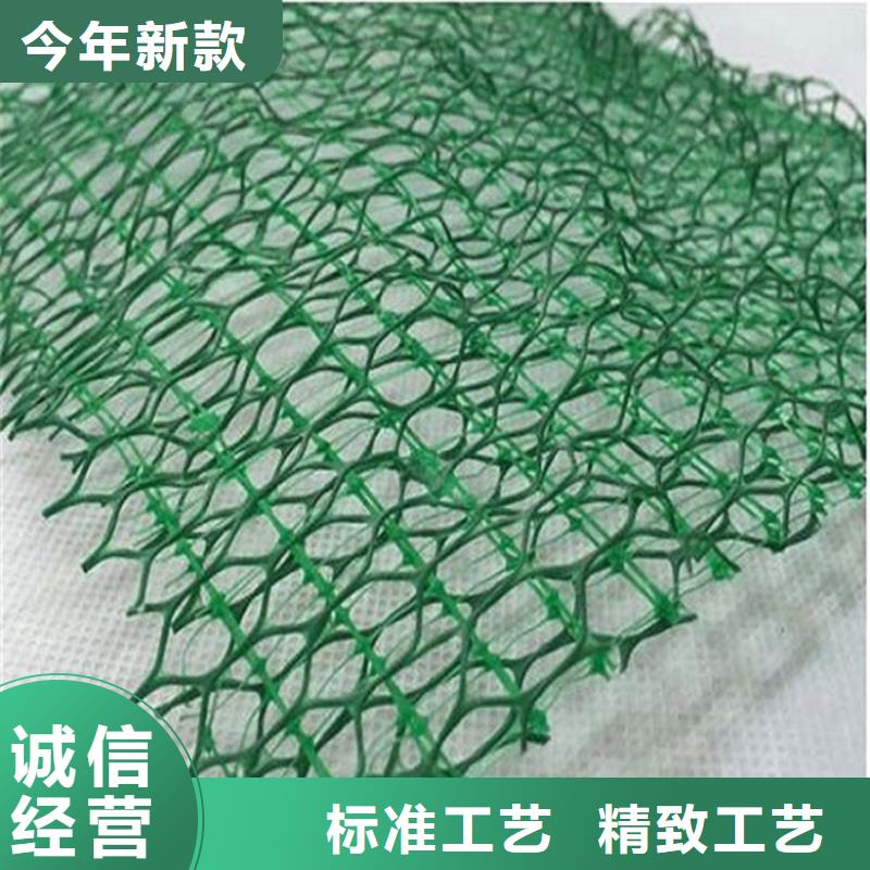 三维土工网垫批发市场