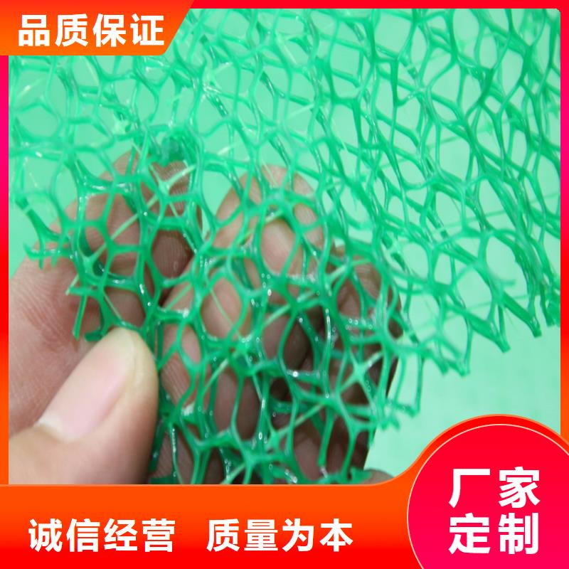 三维植被网-通风降噪丝网专注细节专注品质