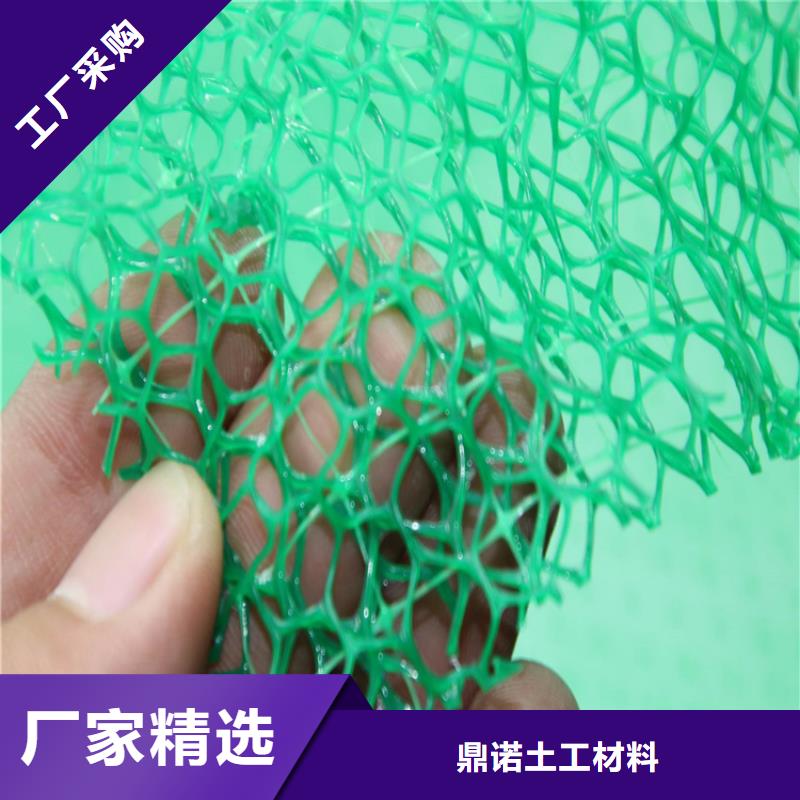 三维植被网-防水板甄选好厂家