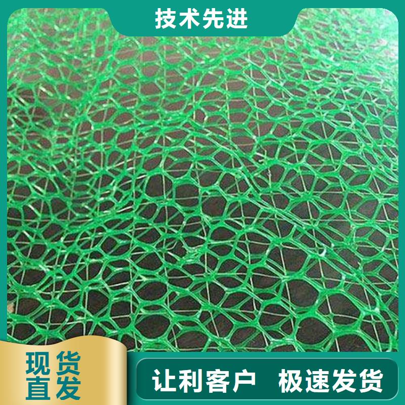 三维植被网-防水板甄选好厂家