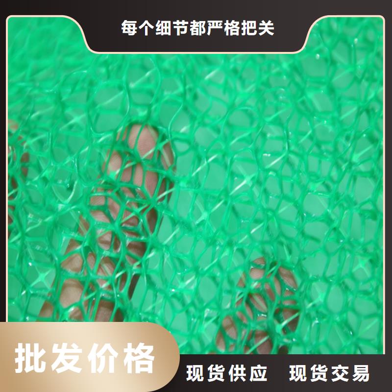 三维植被网-防水板甄选好厂家