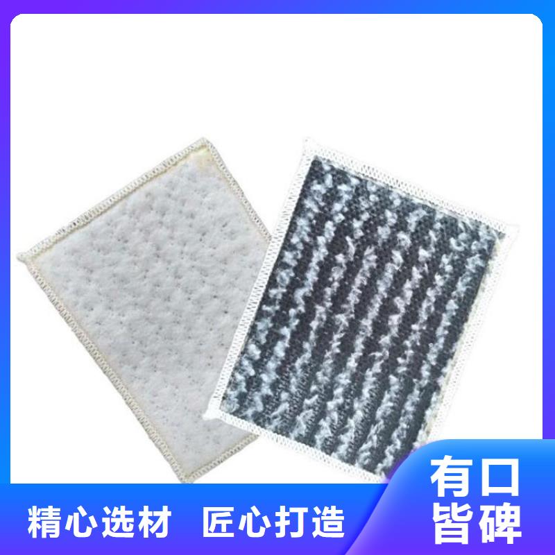 膨润土防水毯 【土工格栅】满足客户需求鼎诺防渗膜