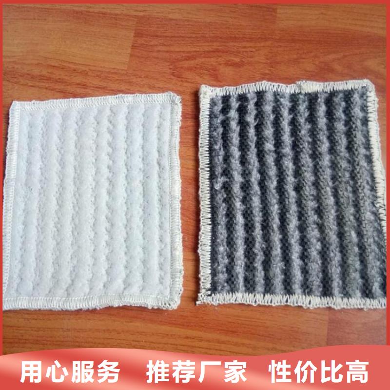 膨润土防水毯 【土工格栅】满足客户需求鼎诺防渗膜