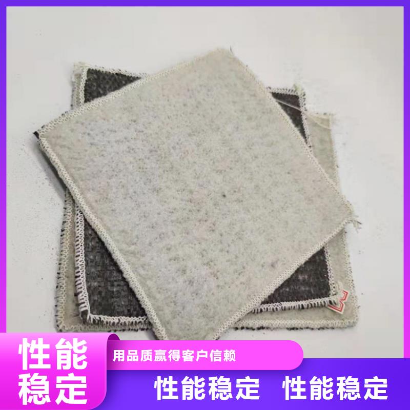 膨润土防水毯 【土工格栅】满足客户需求鼎诺防渗膜