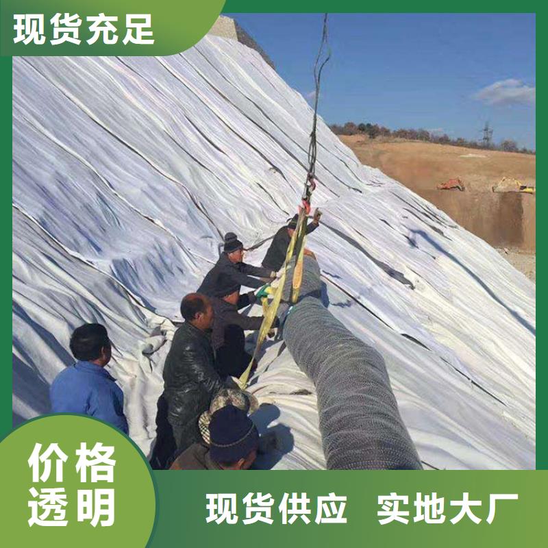 膨润土防水毯通风降噪丝网多种工艺