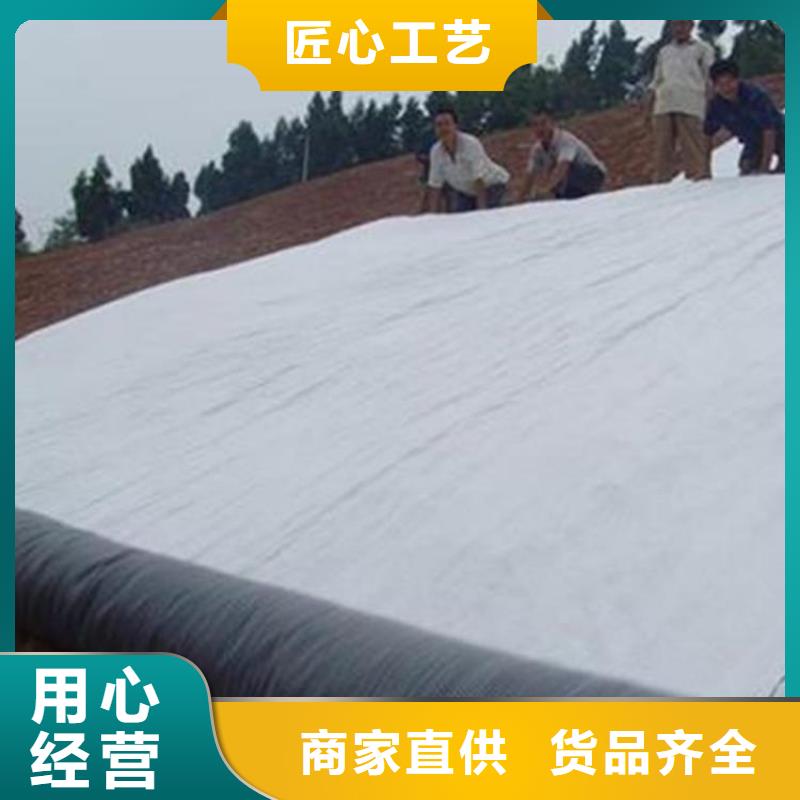 膨润土防水毯通风降噪丝网多种工艺