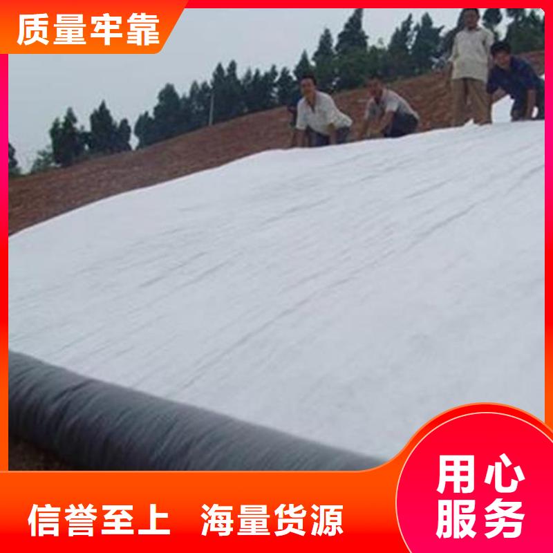 膨润土防水毯通风降噪丝网多种工艺