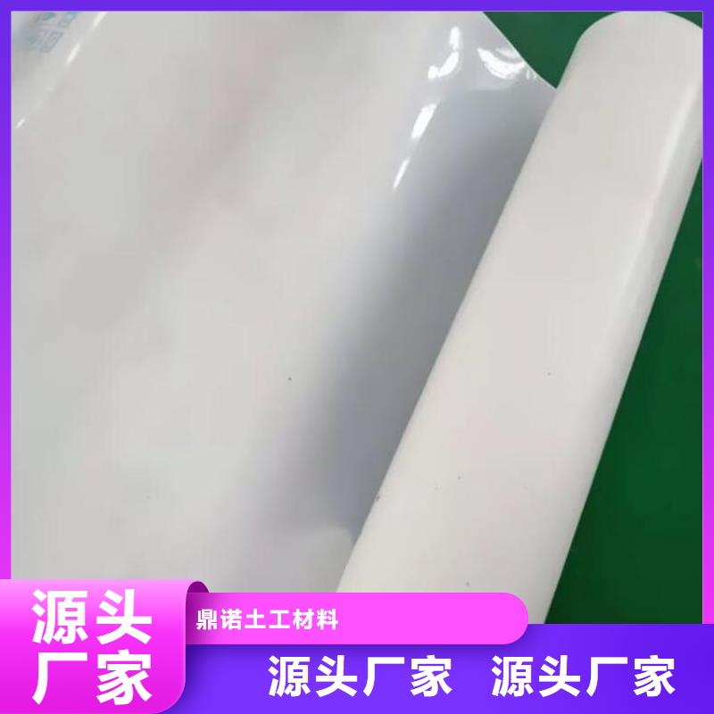 防水板玻璃纤维土工格栅自营品质有保障