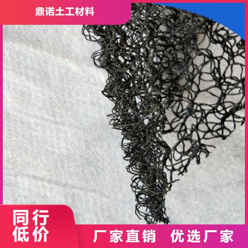 水土保护毯土工膜源头厂家量大价优