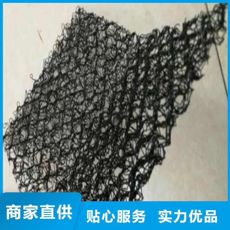 水土保护毯土工膜源头厂家量大价优