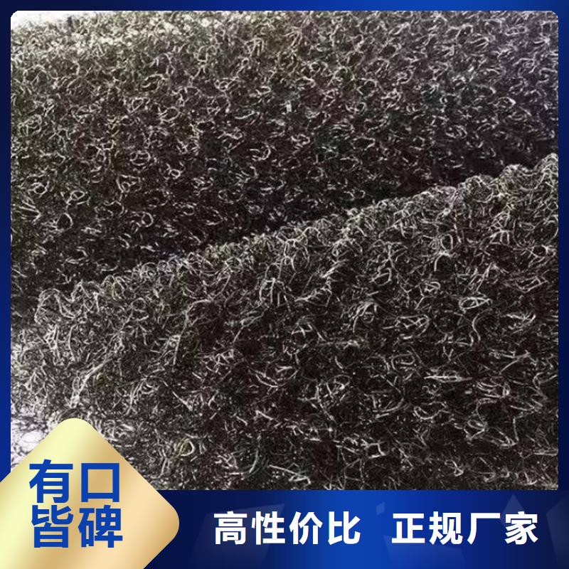 水土保护毯,土工布实力派厂家