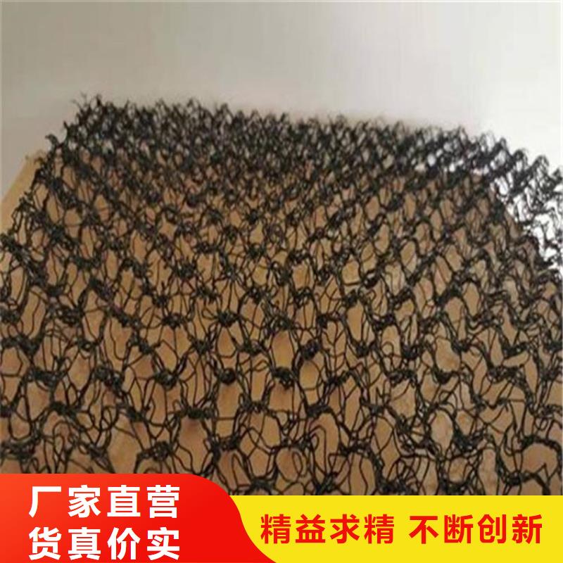 水土保护毯土工膜源头厂家量大价优