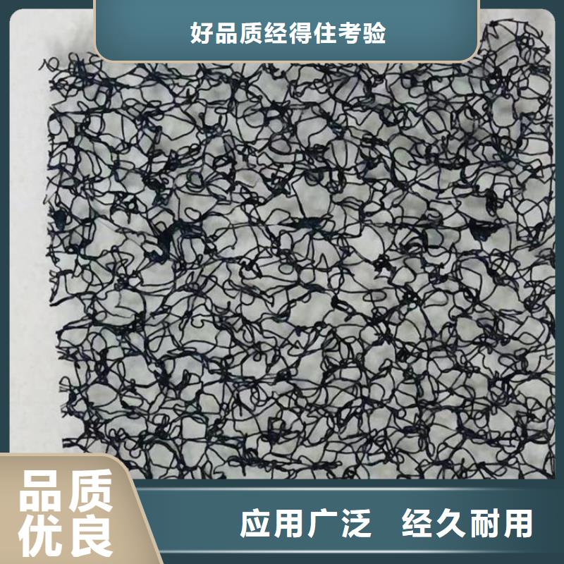 水土保护毯土工膜源头厂家量大价优