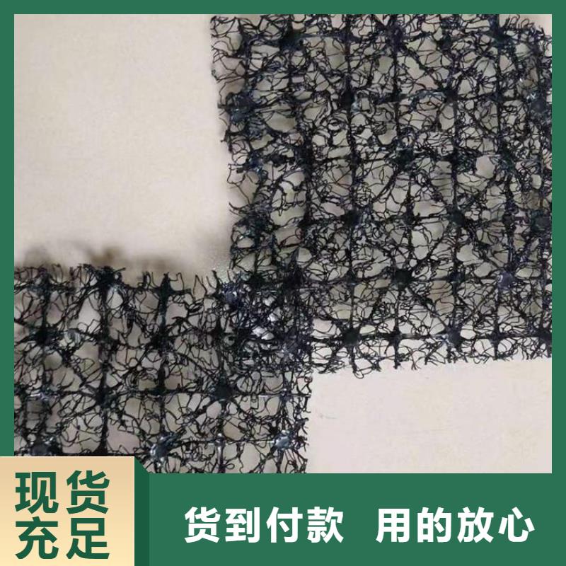 水土保护毯土工膜源头厂家量大价优