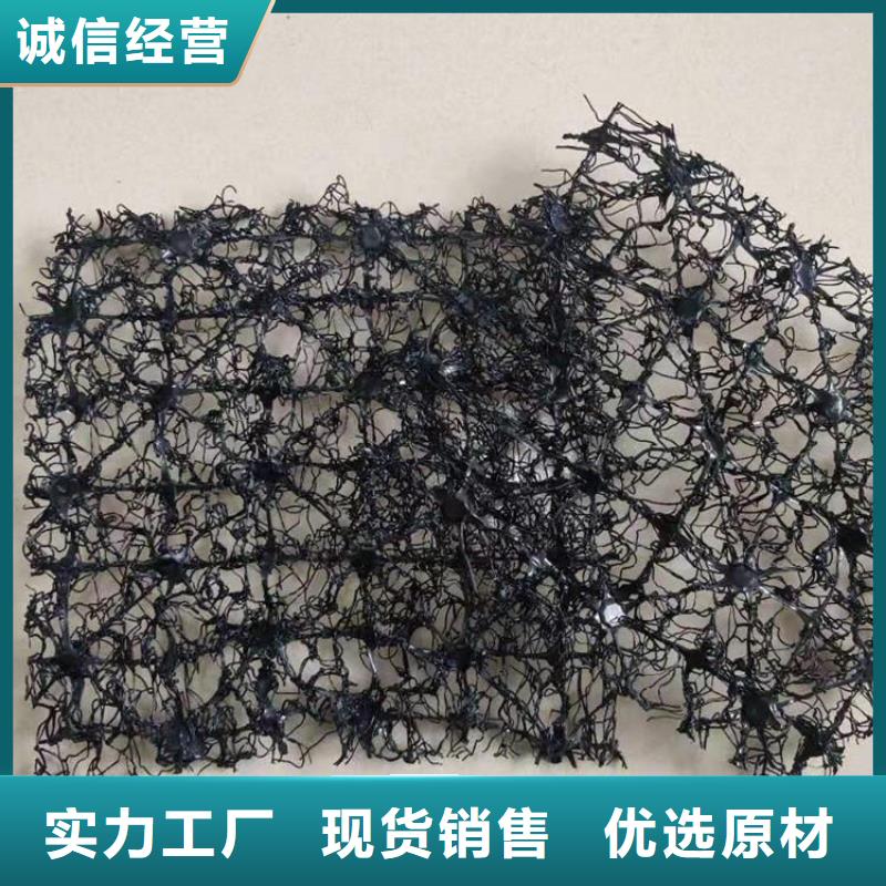 水土保护毯土工膜源头厂家量大价优