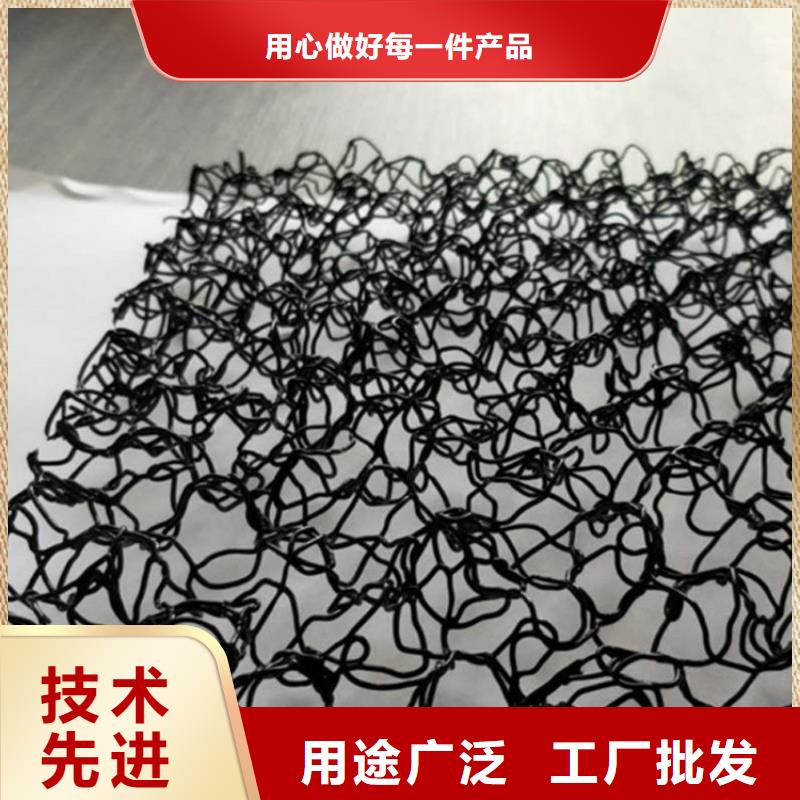 水土保护毯土工膜源头厂家量大价优