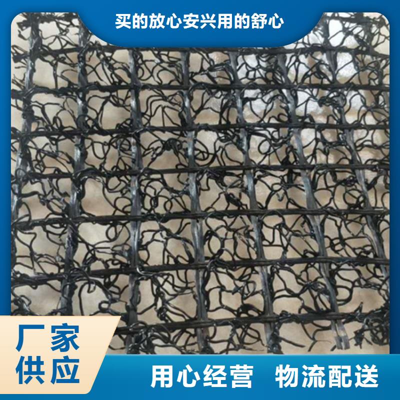 水土保护毯土工膜源头厂家量大价优