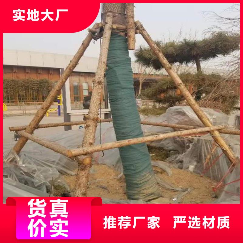 裹树布土工布定制销售售后为一体