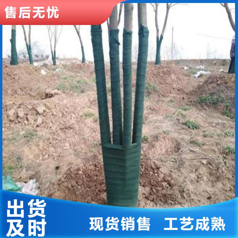 裹树布三维植被网现货交易