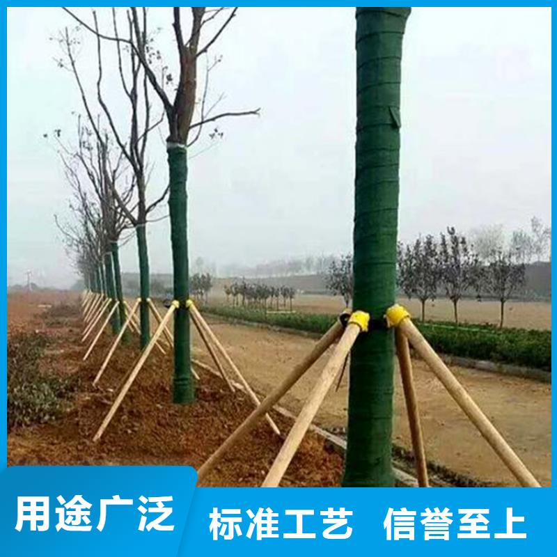 裹树布复合膜源头直供