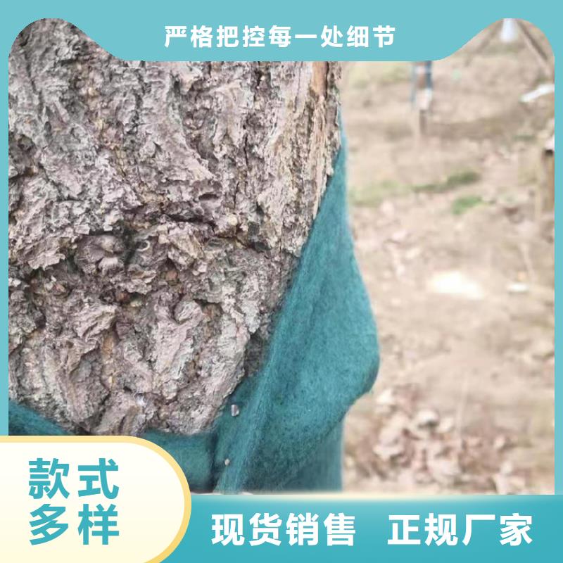 防渗膜视频-内江市防渗膜-【同城】可服务区域资中|威远|绵阳|凉山|泸州|成都|巴中|阿坝