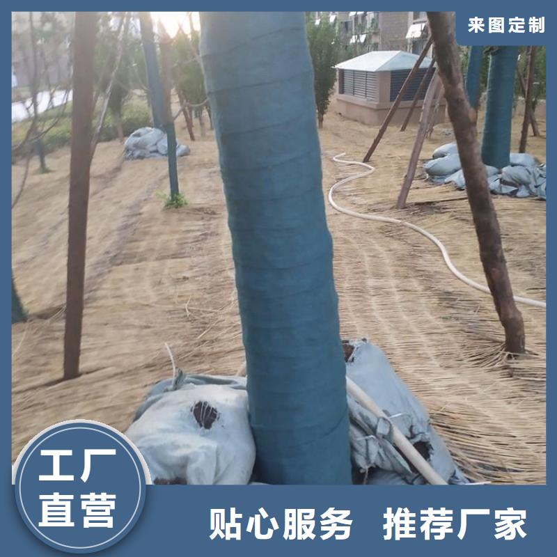 裹树布塑料盲沟工厂价格