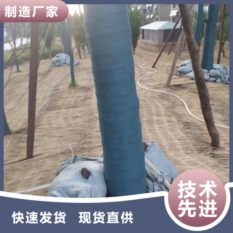 裹树布土工布性能稳定