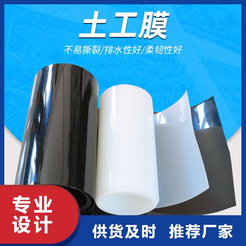 土工膜-聚酯布欢迎来电询价