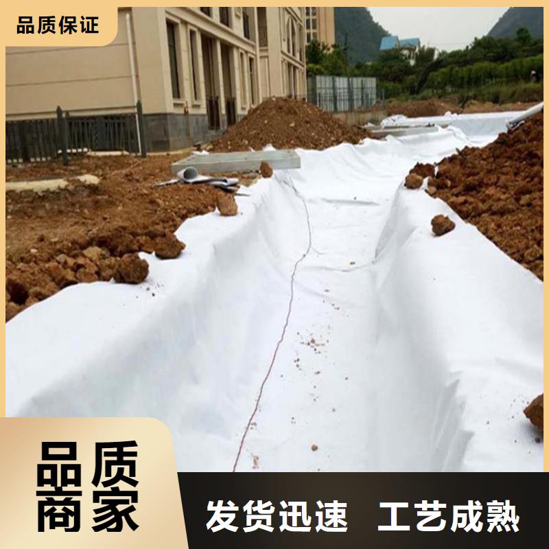防渗膜视频-防渗膜-安徽省池州市贵池|东至|黄山|亳州|马鞍山|安庆|巢湖|宿州此地经销商