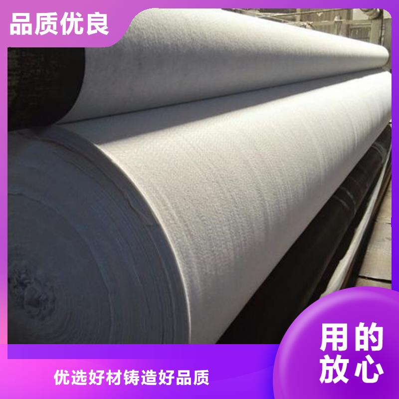 土工布矿用格栅实力雄厚品质保障