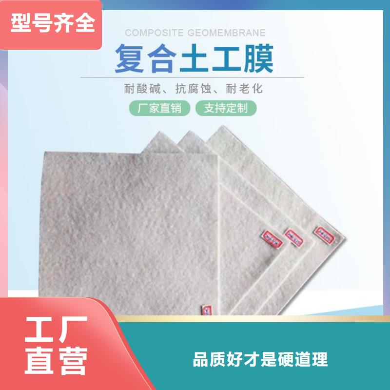土工布矿用格栅实力雄厚品质保障
