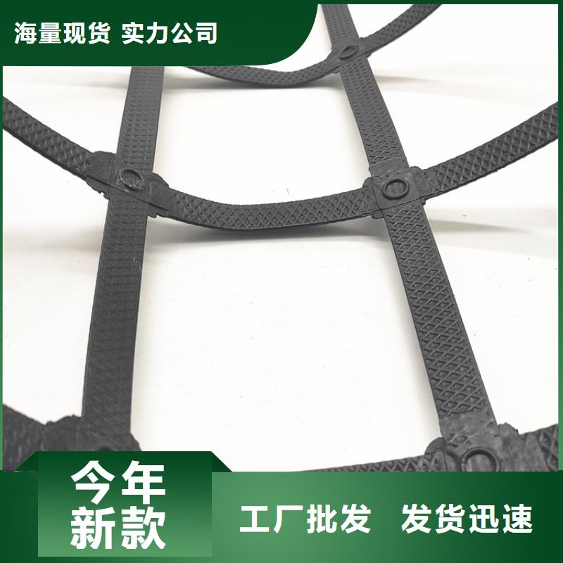 土工格栅三维植被网批发商