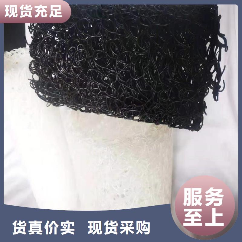 塑料盲沟土工格栅实力优品