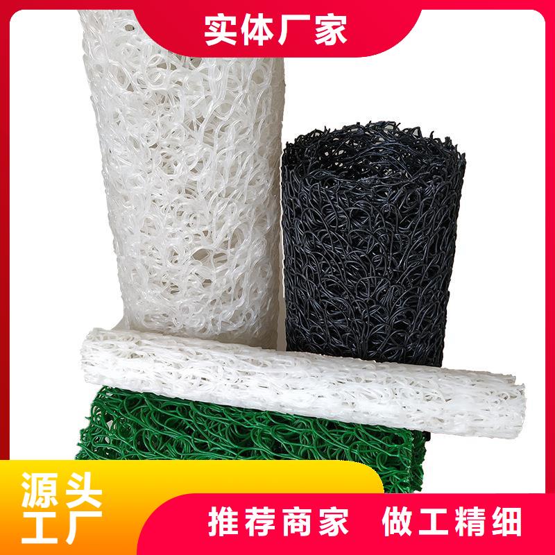 塑料盲沟土工格栅实力优品