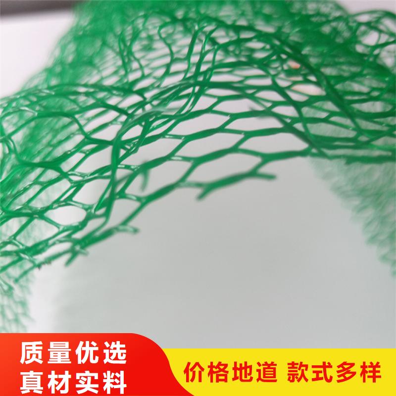 三维植被网涤纶格栅厂家货源稳定