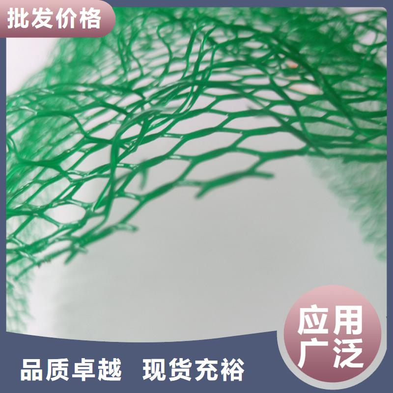 三维植被网涤纶格栅厂家货源稳定