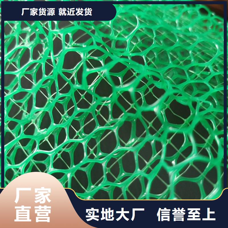 三维植被网涤纶格栅厂家货源稳定