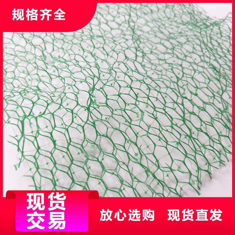 三维植被网涤纶格栅厂家货源稳定