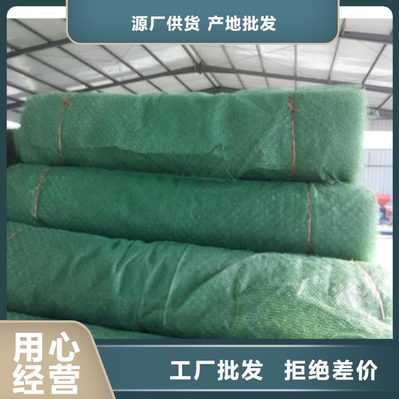 三维植被网涤纶格栅厂家货源稳定
